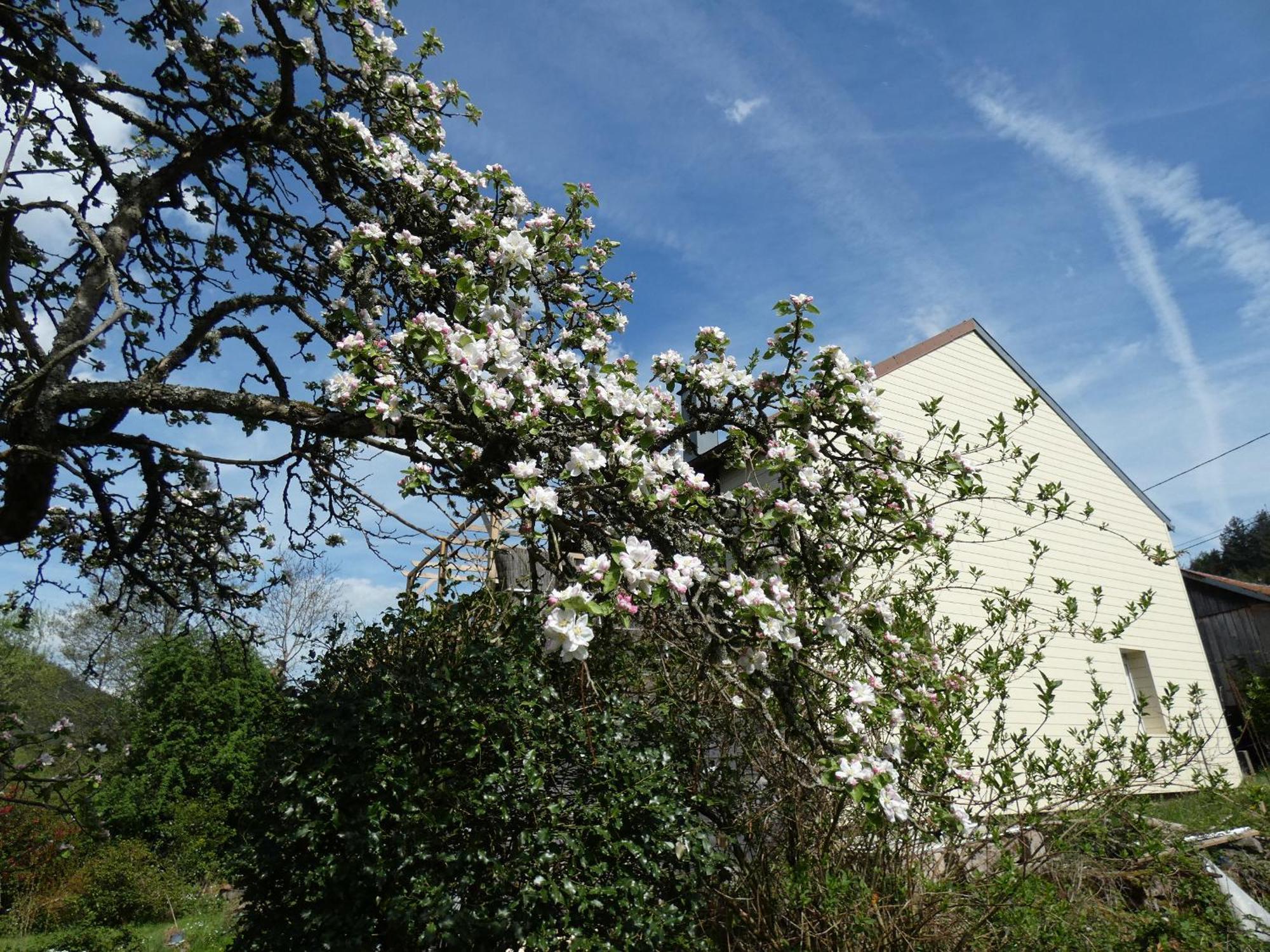 Bed and Breakfast Au Val Des Meuris Taintrux Zewnętrze zdjęcie